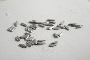 David Rickard,A handful of seeds, 2020, stagno antimonio, rame, piombo